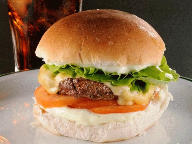 lanches em pirassununga entrega